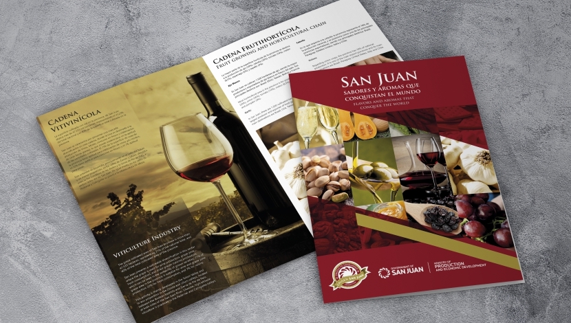 Brochure Institucional - Gobierno de San Juan